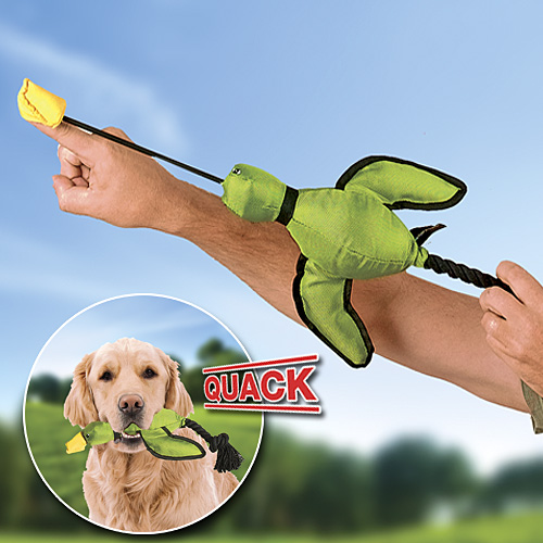 Hyper Dog Flying Duck