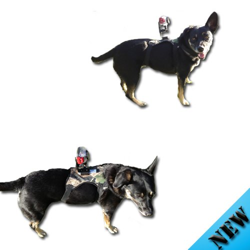 Dog Camera Mount for Gopro