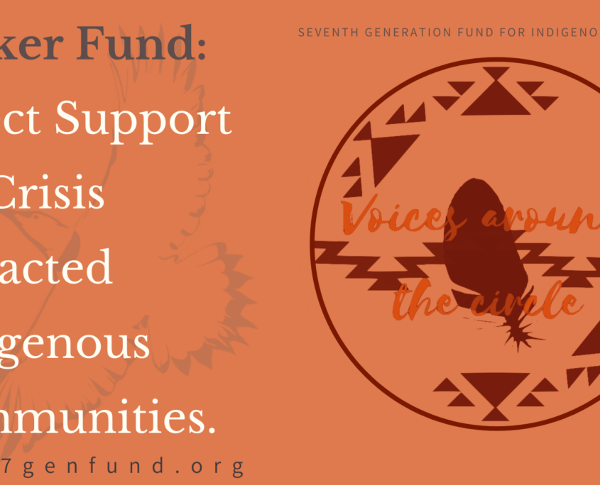 Voices Around the Circle Seventh Generation Fund for Indigenous Peoples