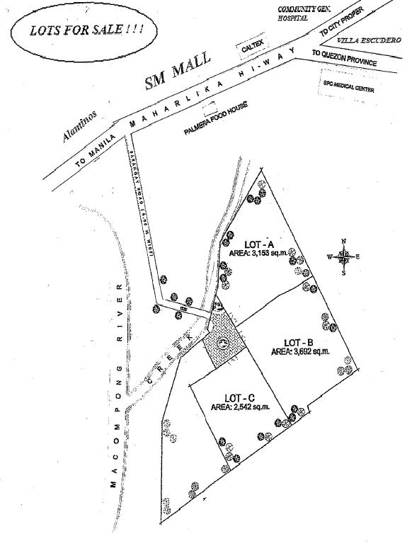 San Pablo City one hectare, 3lot property For Sale