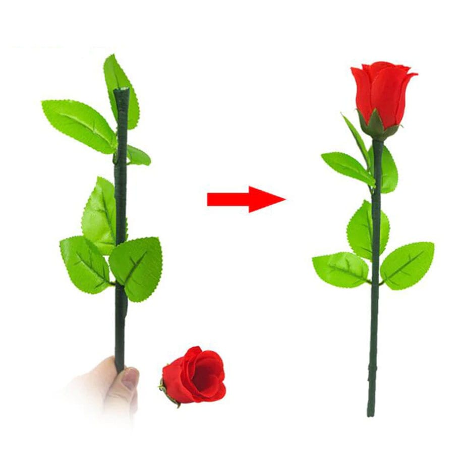 Multiply Rose 7 Magic Inc