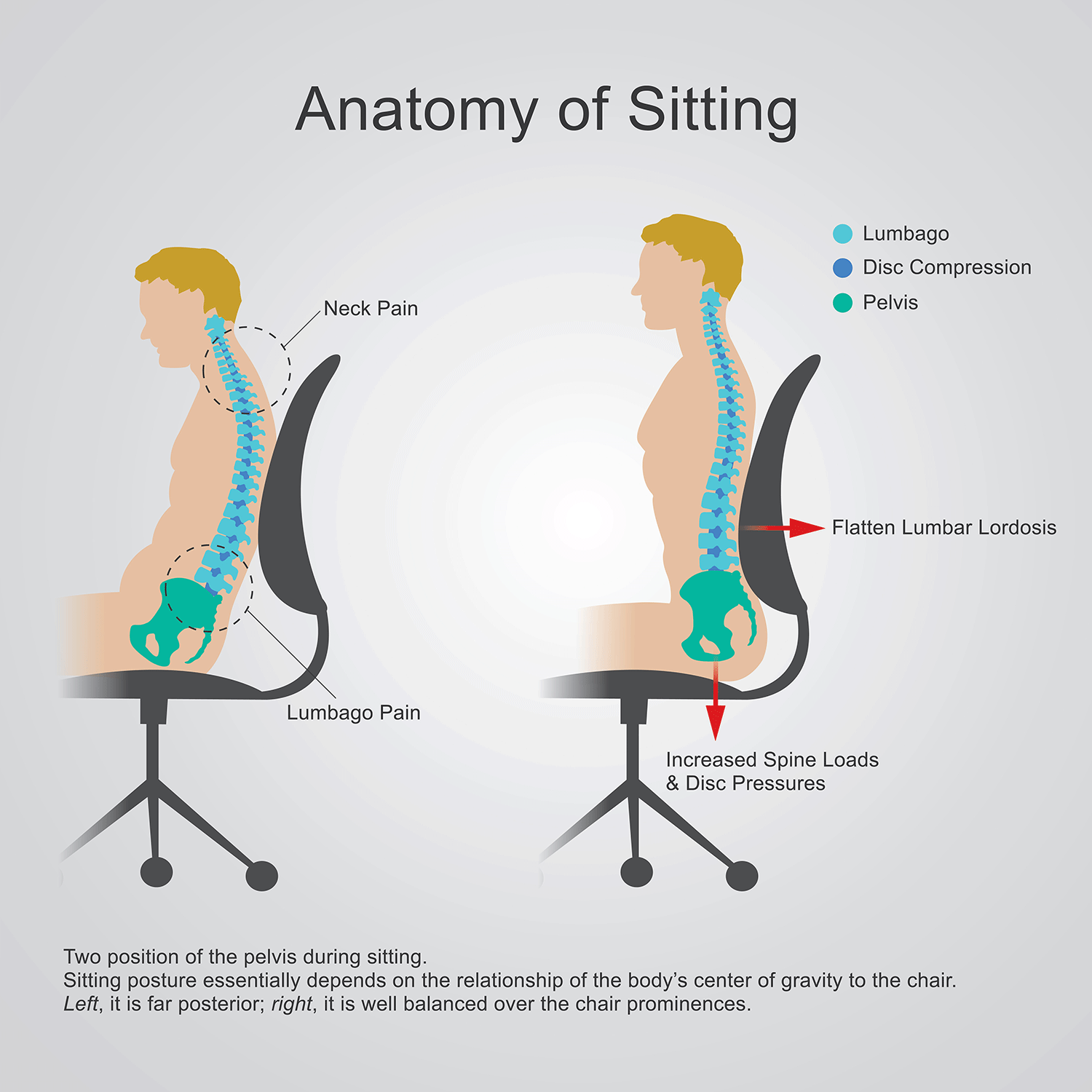 Ergonomic Office Chair Lower Back Pain at David Jackson blog
