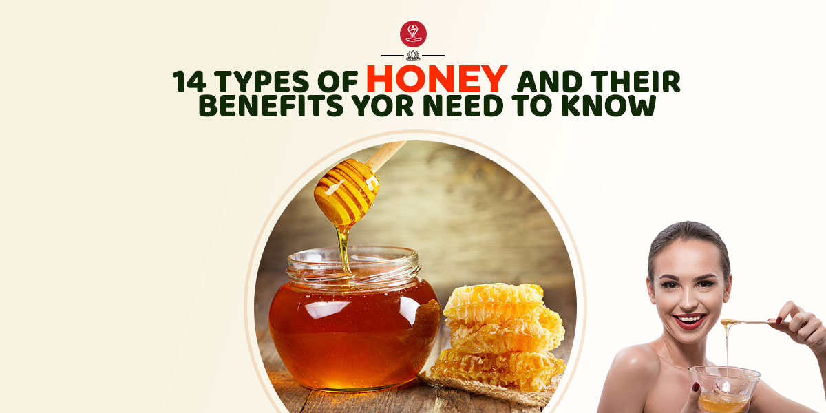 What is Honey And 14 Types of Honey You Need to Know