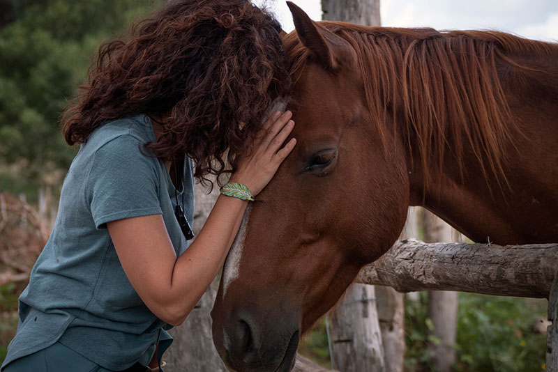 Equine Therapy How Does Equine Therapy Work?