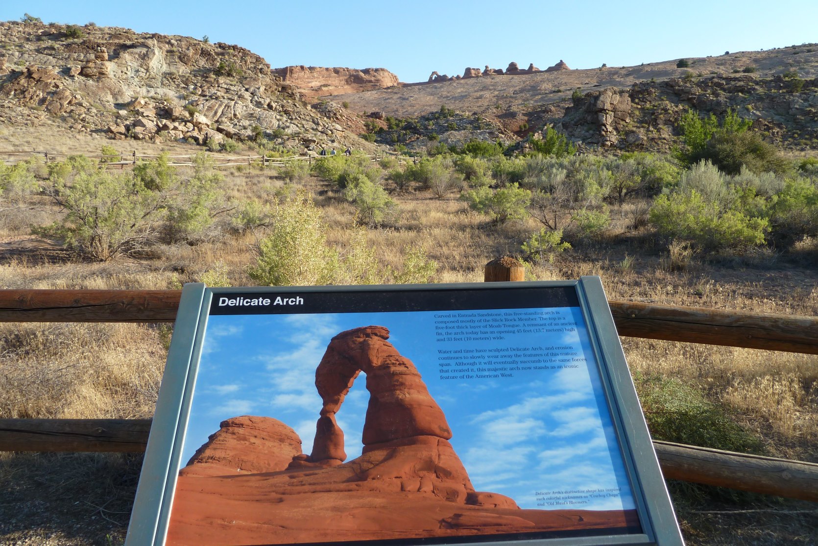 P1040526 80 Miles A Day