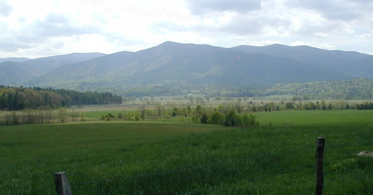 East Tennessee Land for Sale with Acreage (5+ Acres) 865 Real Estate