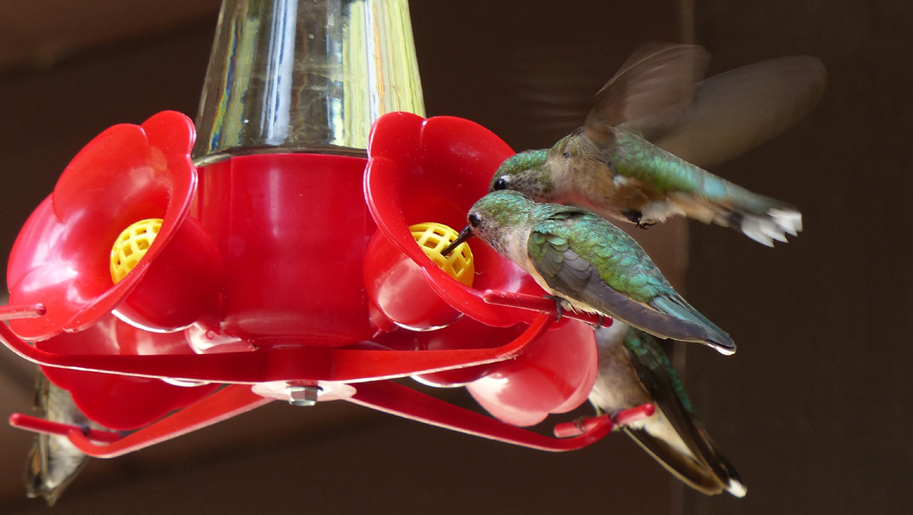 To Granby Dave's Blog