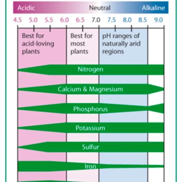 How To Adjust the PH of Your Water For Hot Pepper Plants 86peppers