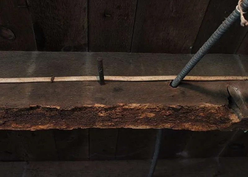 Powderpost Beetle Control & Treatment 877BUGFREE