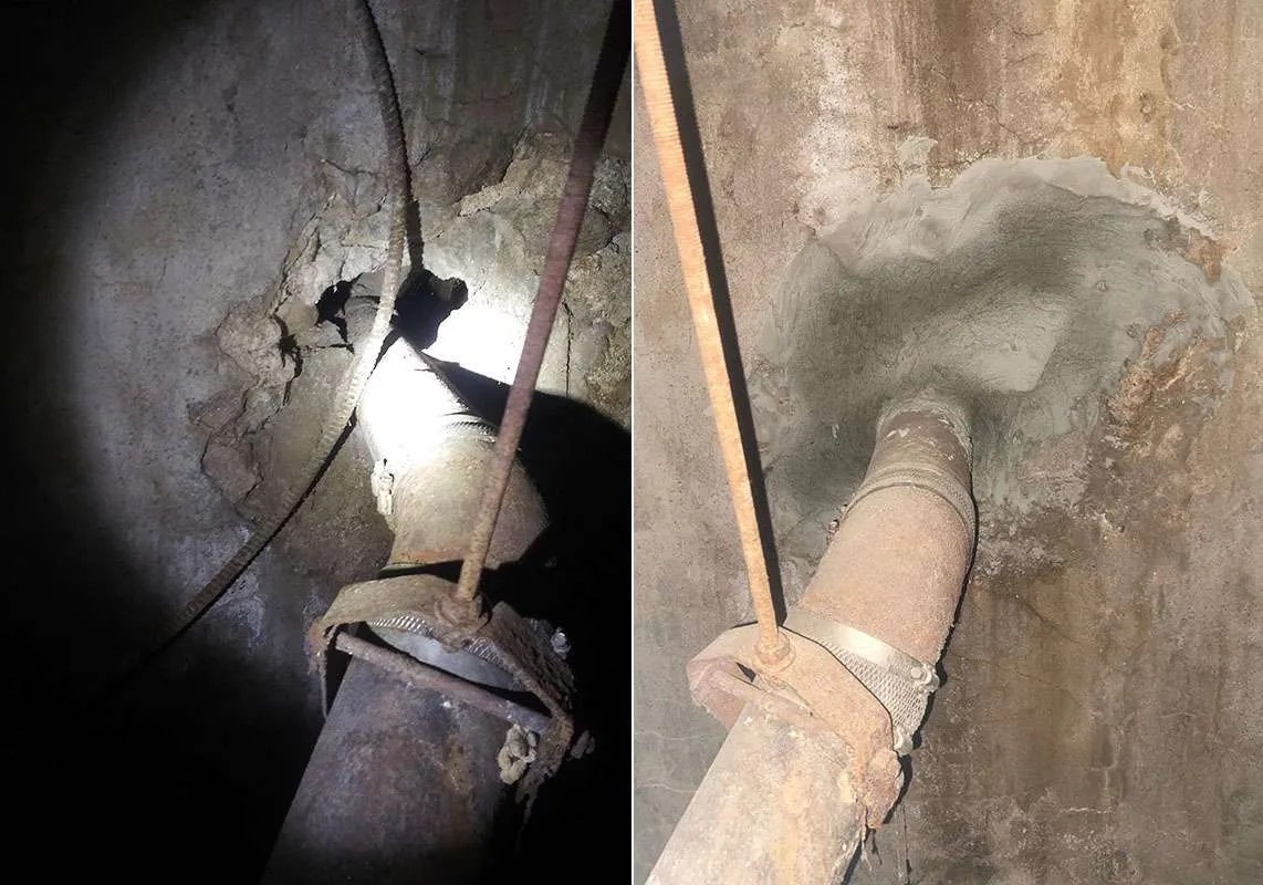 Pest Exclusion Insect, Rodent and Prevention Services