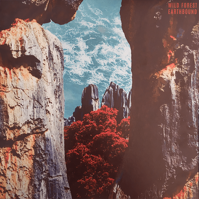 Wild Forest Earthbound Studio 8844