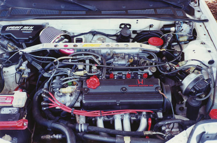 Mike's '89 Honda Accord LXI - Photo Gallery