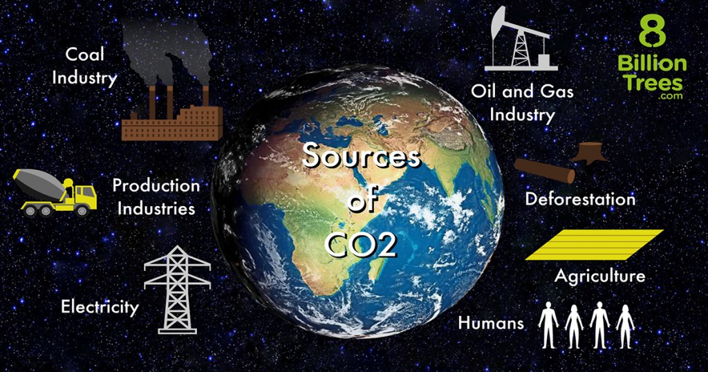 8 Billion Trees Carbon Offset Projects & Ecological Footprint