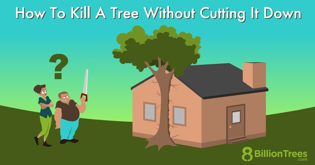 How to Kill a Tree Without Cutting It Down (Fast and Easy Trick)