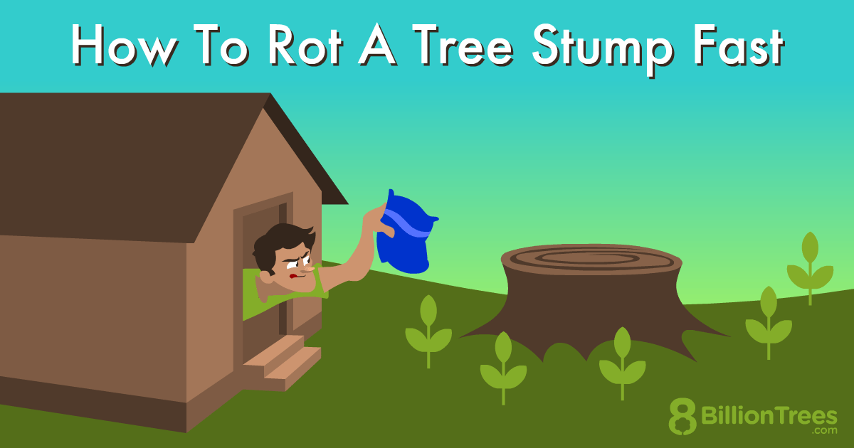 How To Rot a Tree Stump Fast &amp; Erase Roots (Homemade Trick)