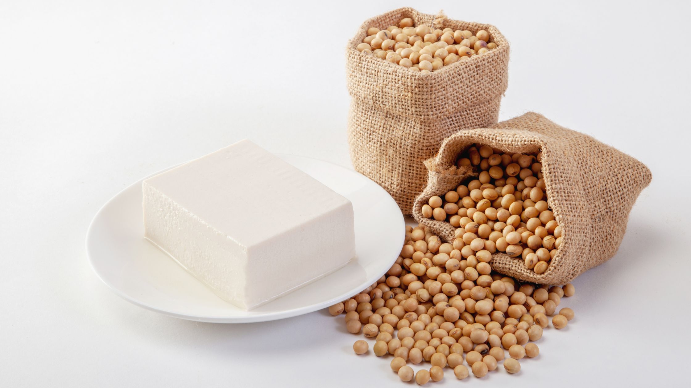 Bean Curd vs. Tofu Unraveling the Differences 8 Billion Voices