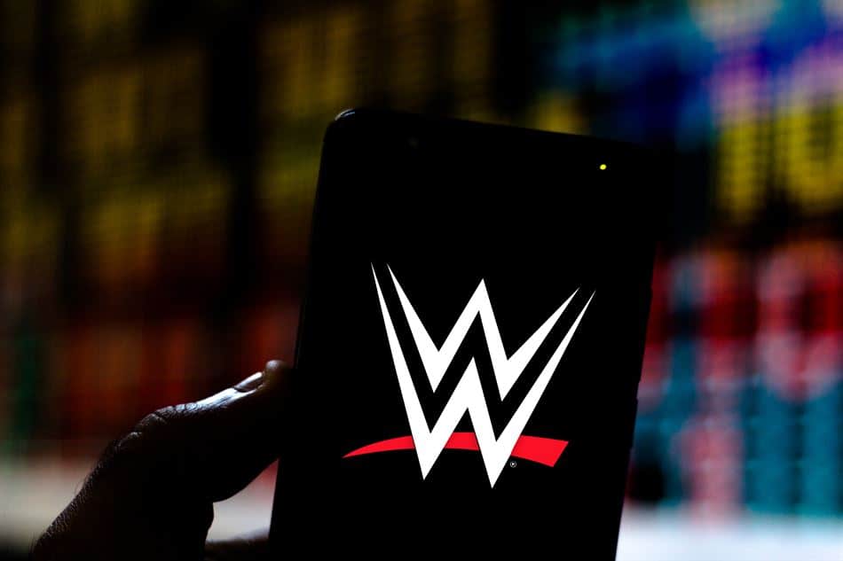 When Did The WWF Change Their Name To WWE? (and WHY?) 8 Bit Pickle