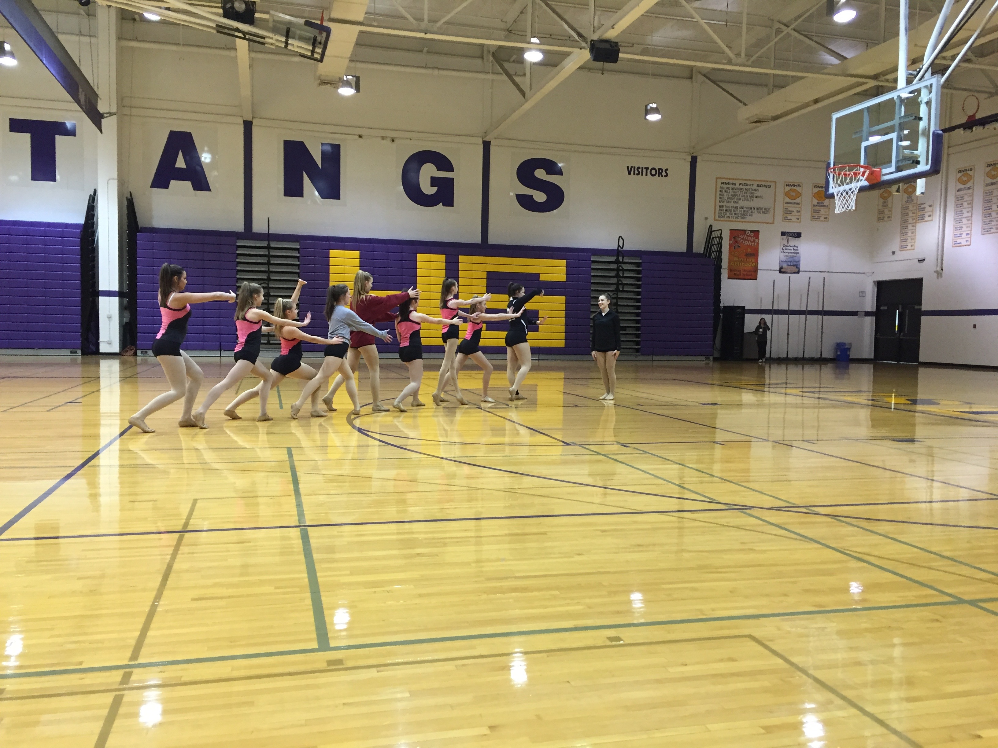 Team Feature Rolling Meadows 8 Count Audio