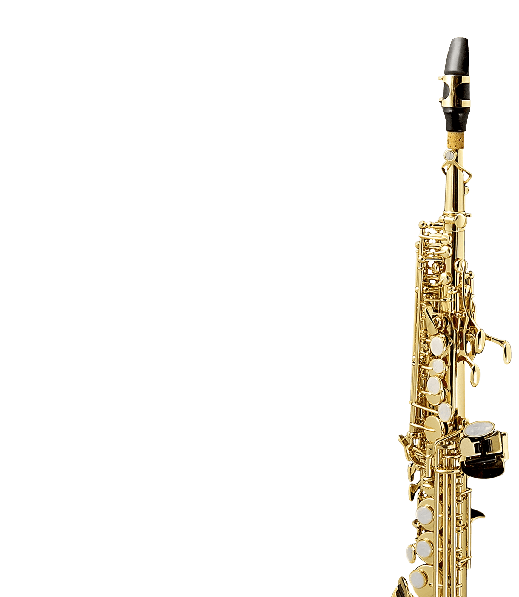 Studio Soprano Saxophone 8Dio Solo Saxophone for Kontakt VST/AU/AAX