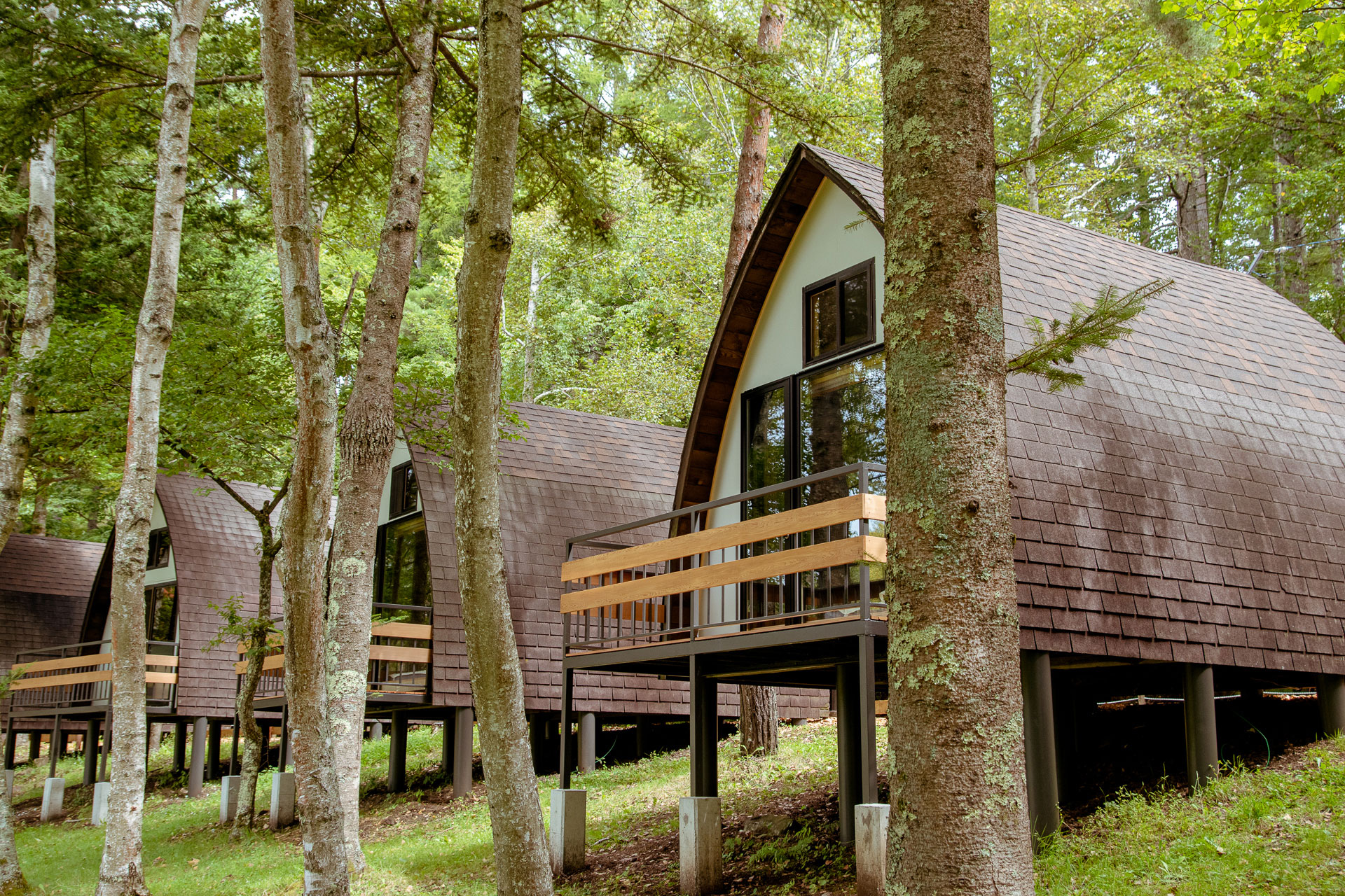 TINY GARDEN 蓼科 Camp,Lodge & Cabins 八ヶ岳をガイドする ハチ旅