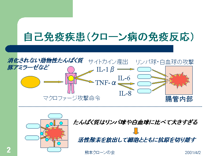 プレゼンテーション タイトル 活動内容