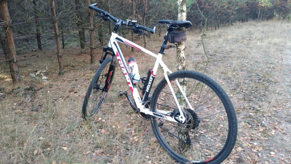 Rower crossowy Giant roam 1 7591871678 oficjalne archiwum Allegro