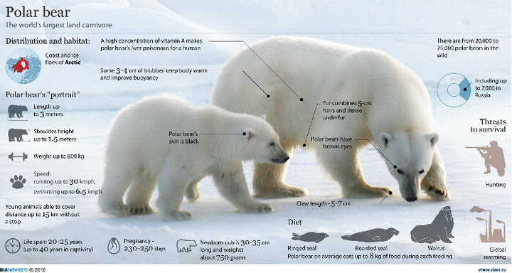 INFOGRAPHICS