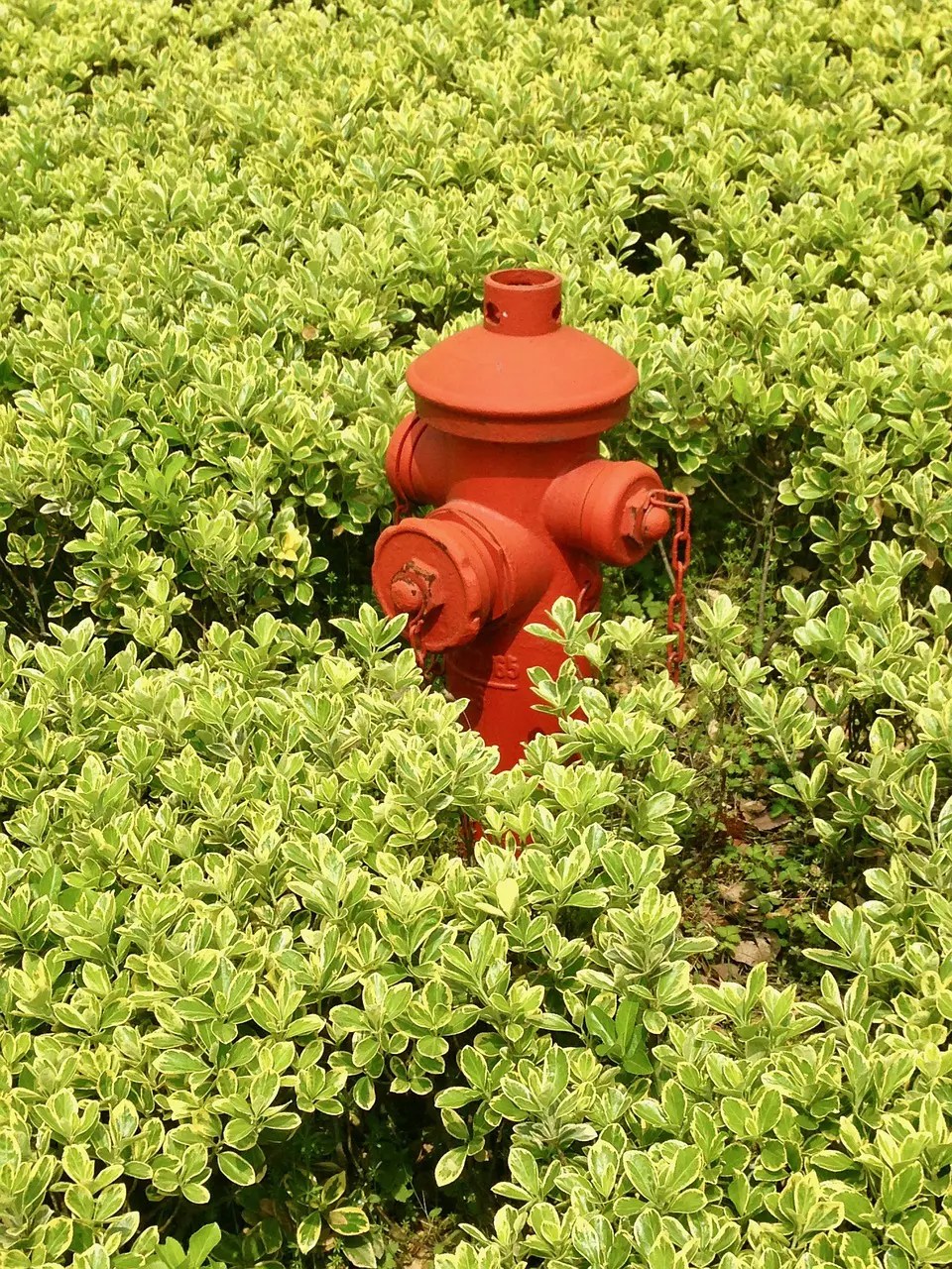 13 MUSTKNOW Winter Fire Safety Tips 911 Water Damage Experts