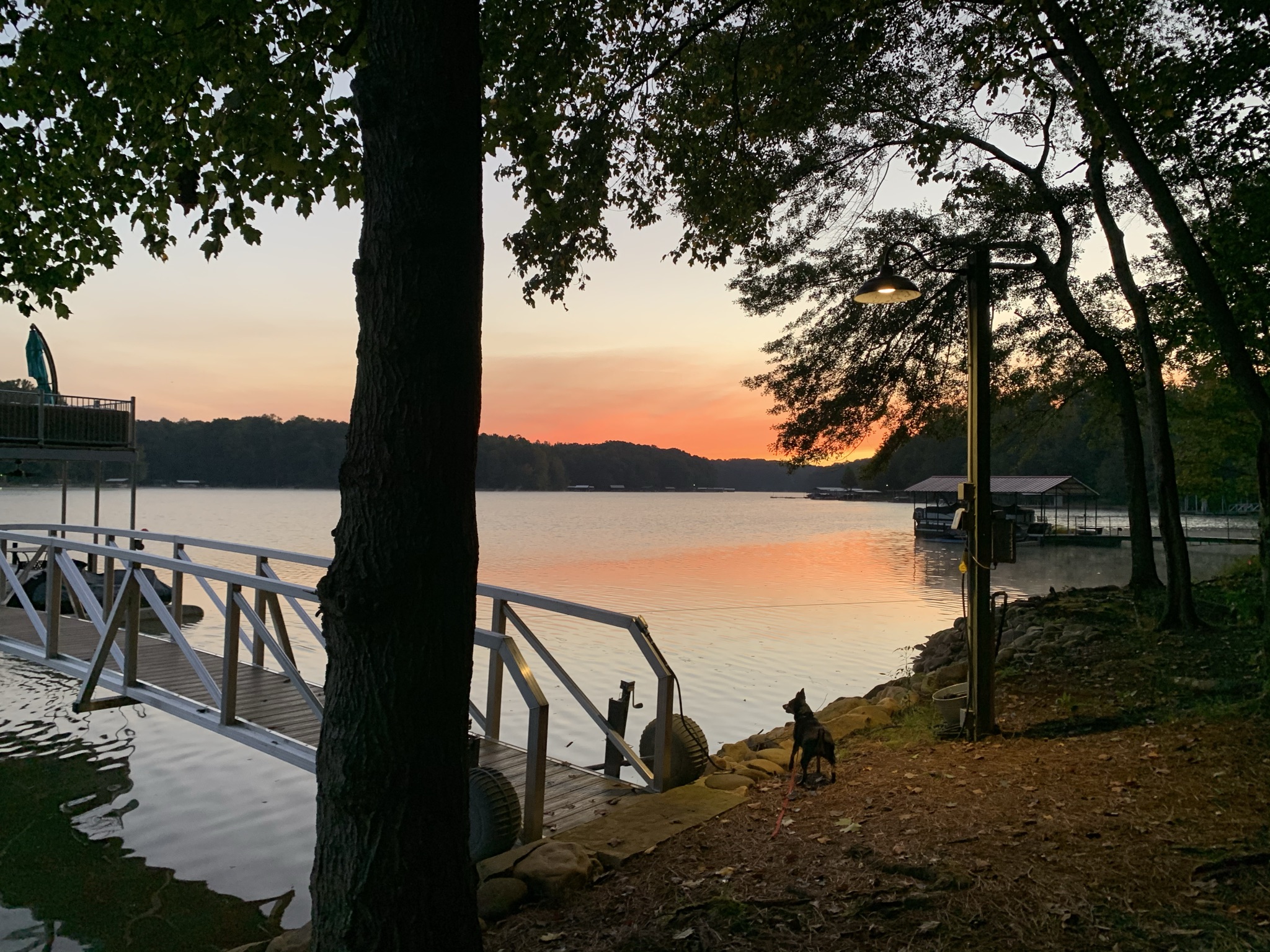 Corps Investigates Three Cases of Destruction of Public Lands on Lake