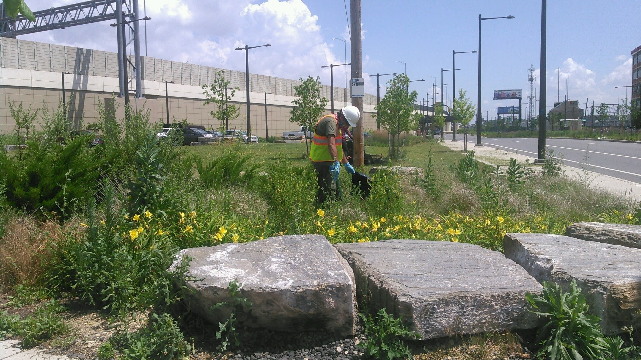 I95 Rain Garden Maintenance Schedule 95Revive