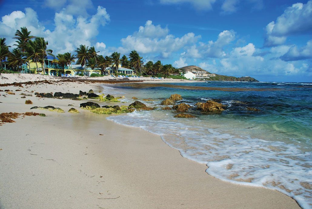 Red, White And Blue With A Carribean View Exploring The U.S. Virgin Island Of St. Croix Dive