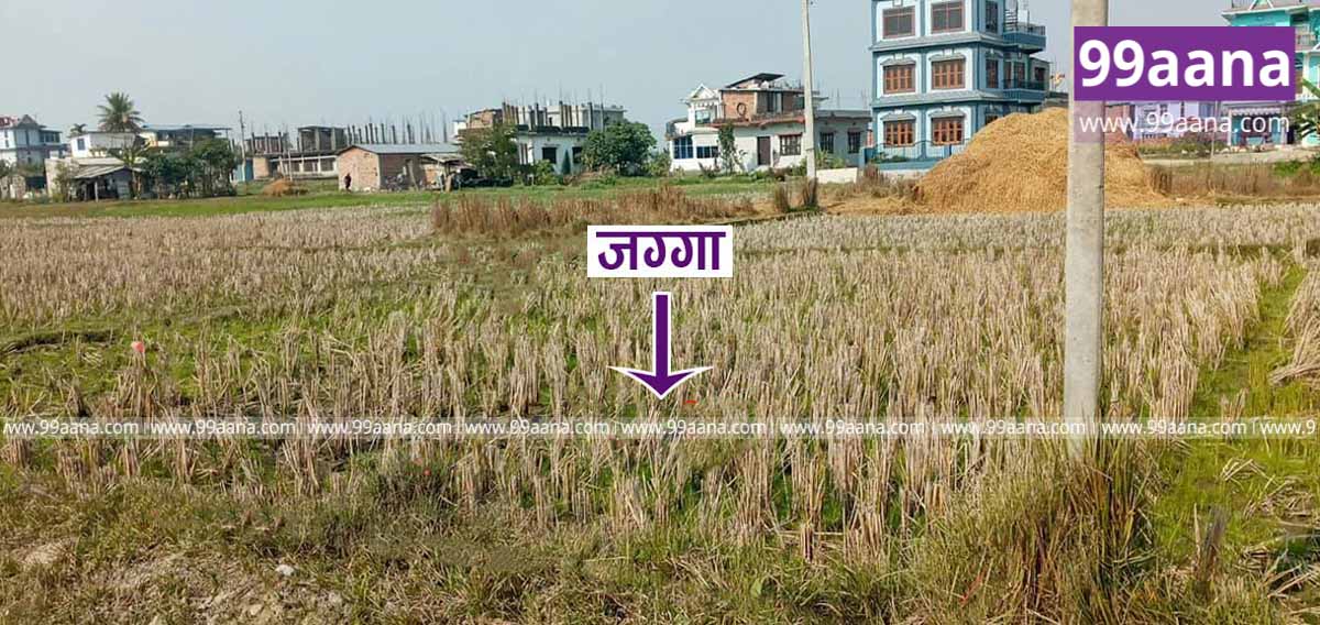 Land for sale at Halgada, Itahari, Sunsari