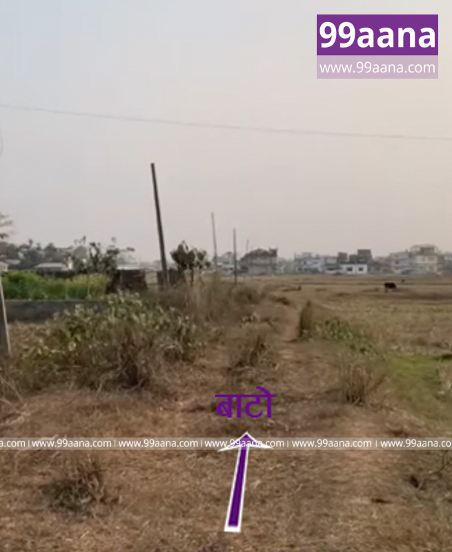 Land for sale at Nagarik Chowk, Dhulabari, Jhapa