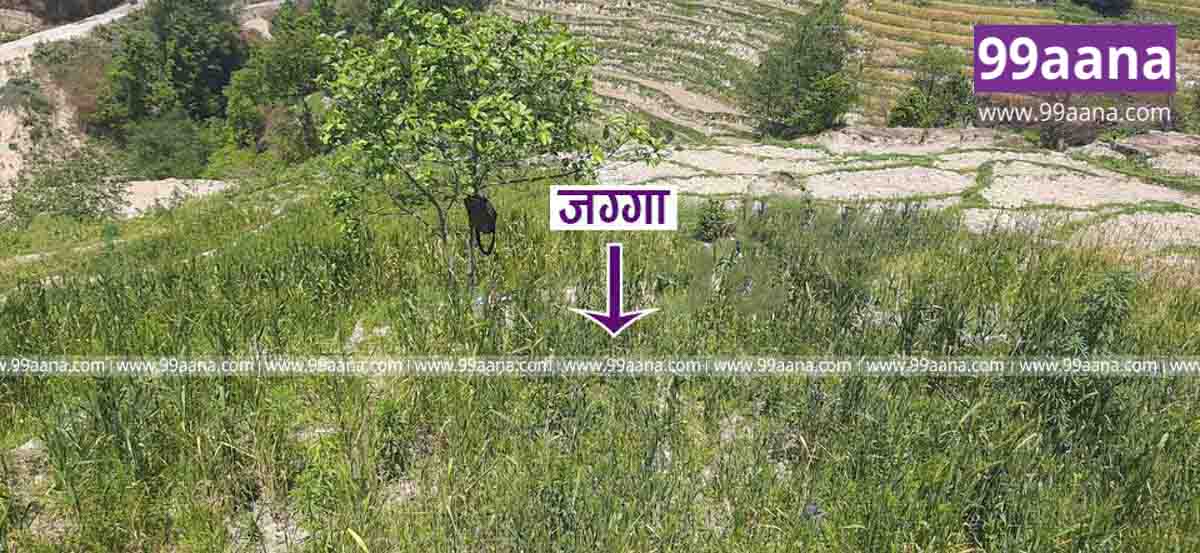 Land for sale at Nagarkot, Changunarayan, Bhaktapur