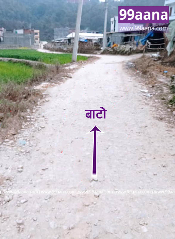 Land for sale at Lasuntar, Kapan11, Budhanilkantha, Kathmandu