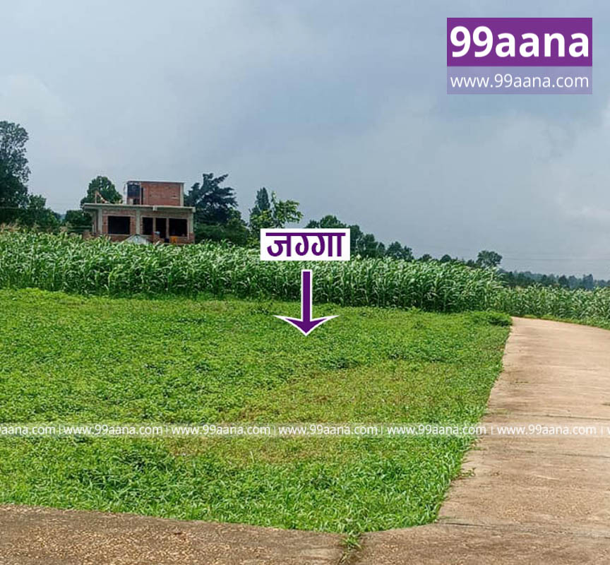 Land for sale at Ratomate, Hetauda15, Makwanpur