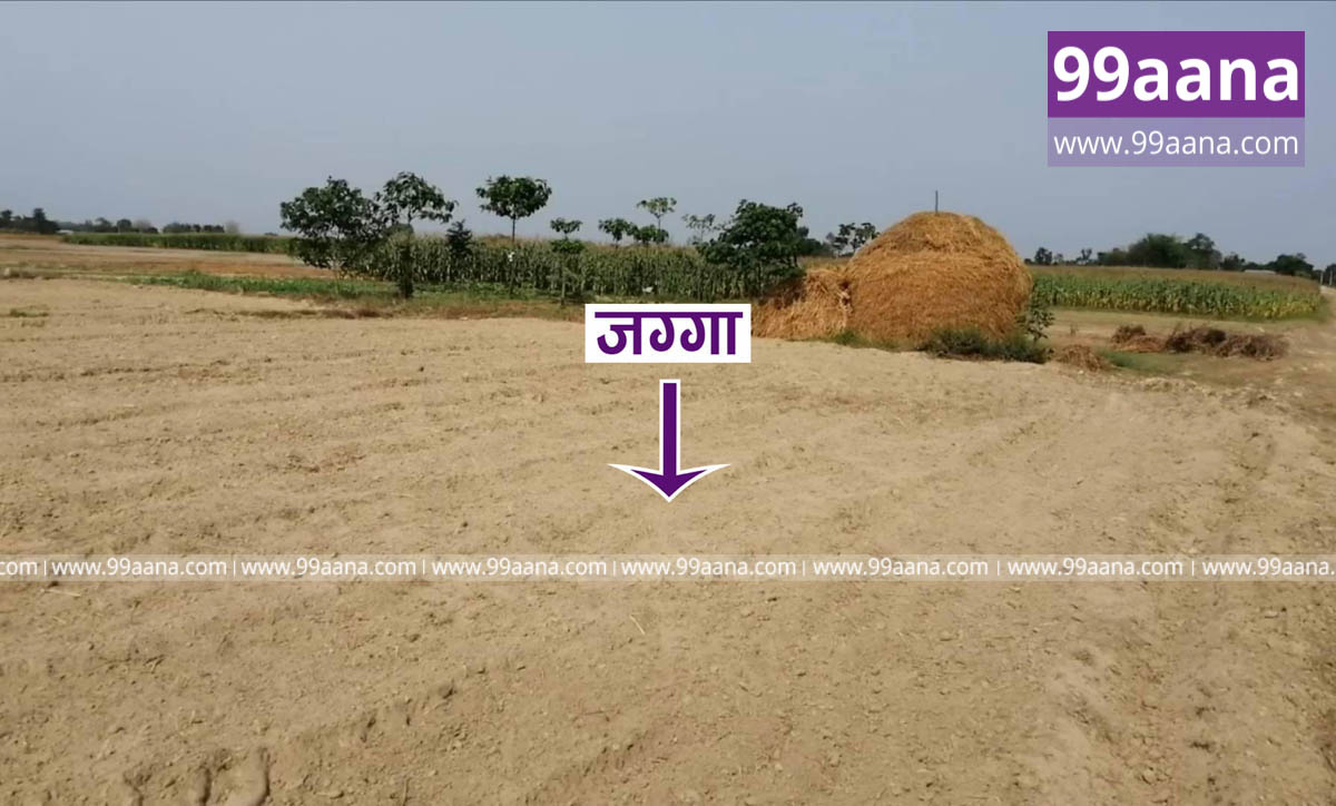Land for sale at Jhapa