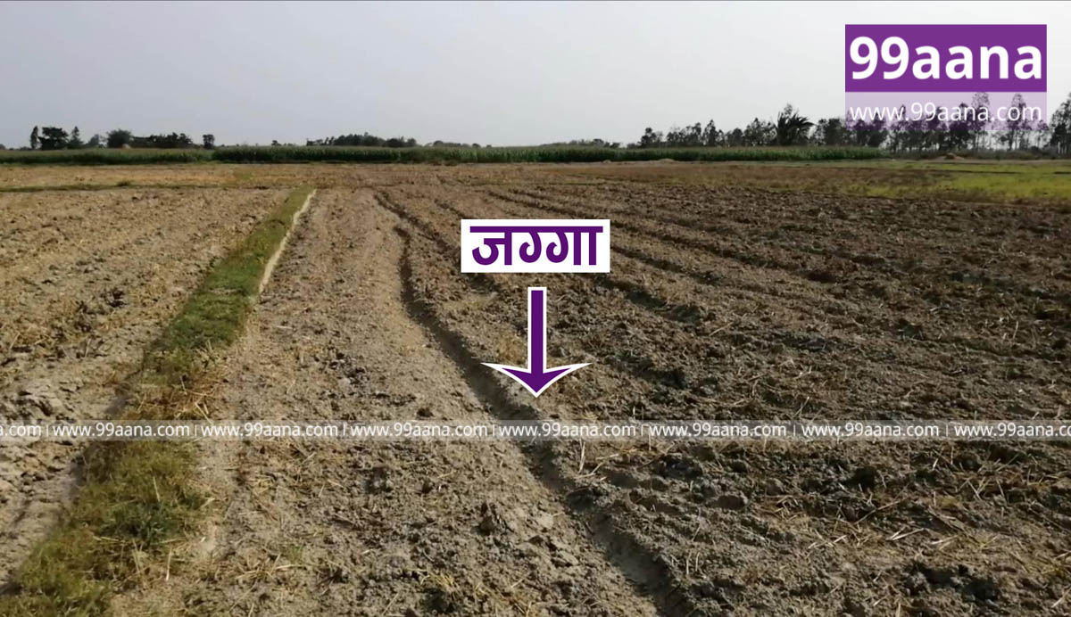 Land for sale at Jhapa
