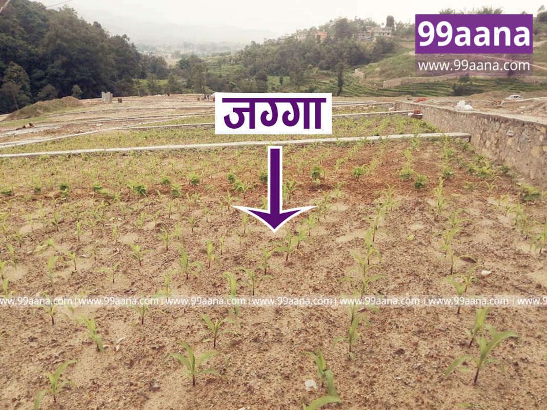 Land for sale at Sudal, Bhaktapur