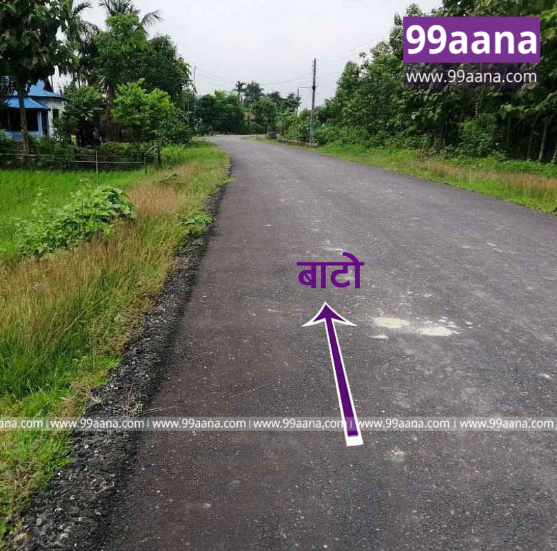 Land for sale at Dharampur, Shivasatakshi, Jhapa