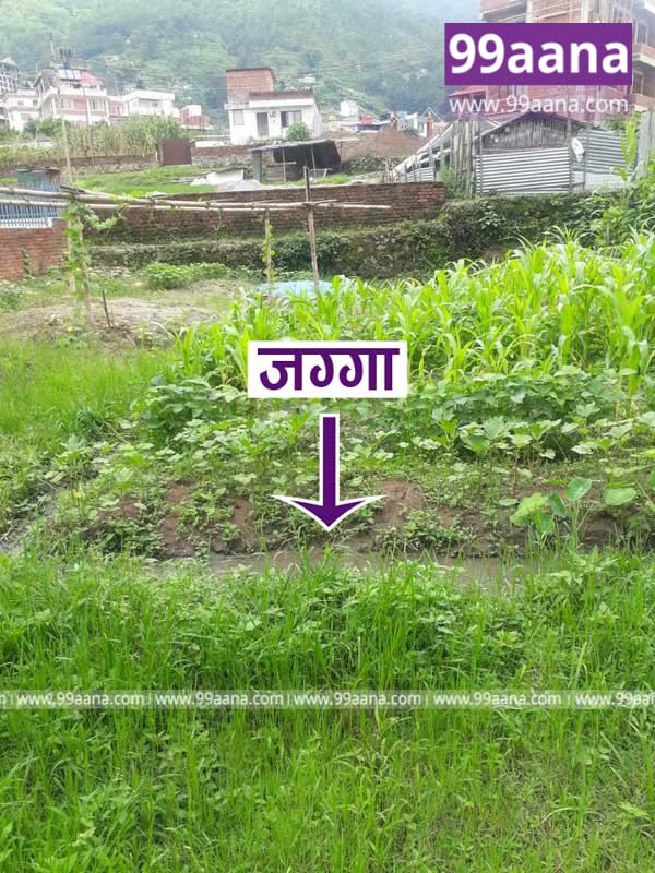Land for sale at Fulbari, Budhanilkantha, Kathmandu