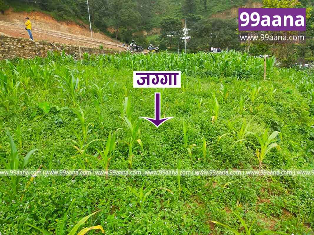 Land for sale at Bhimdhunga, Nagarjun08, Kathmandu