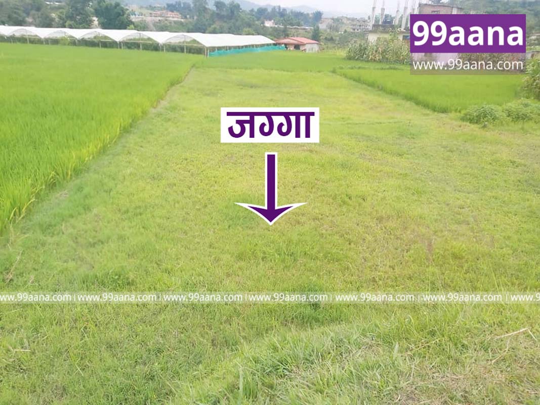 Land for sale at Suntakhan, Gokarna, Kathmandu