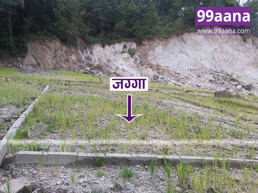 Land for sale at Suntakhan, Gokarna, Kathmandu