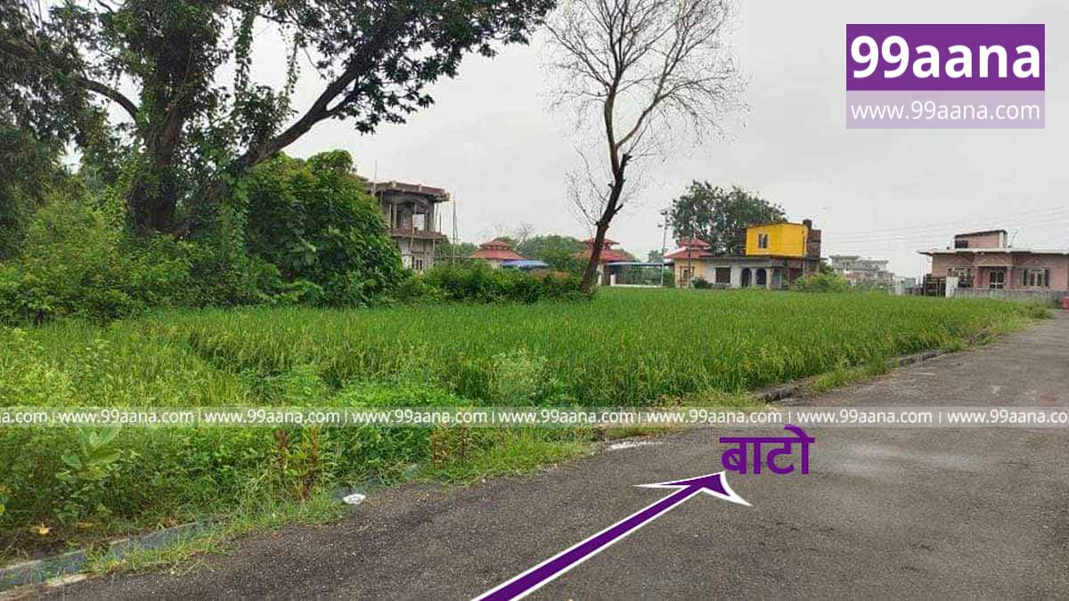 Land for sale at Meudihawa, Rupandehi