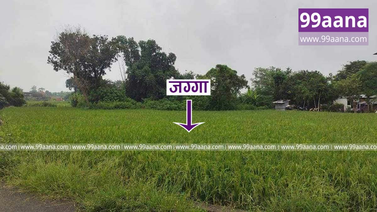 Land for sale at Meudihawa, Rupandehi
