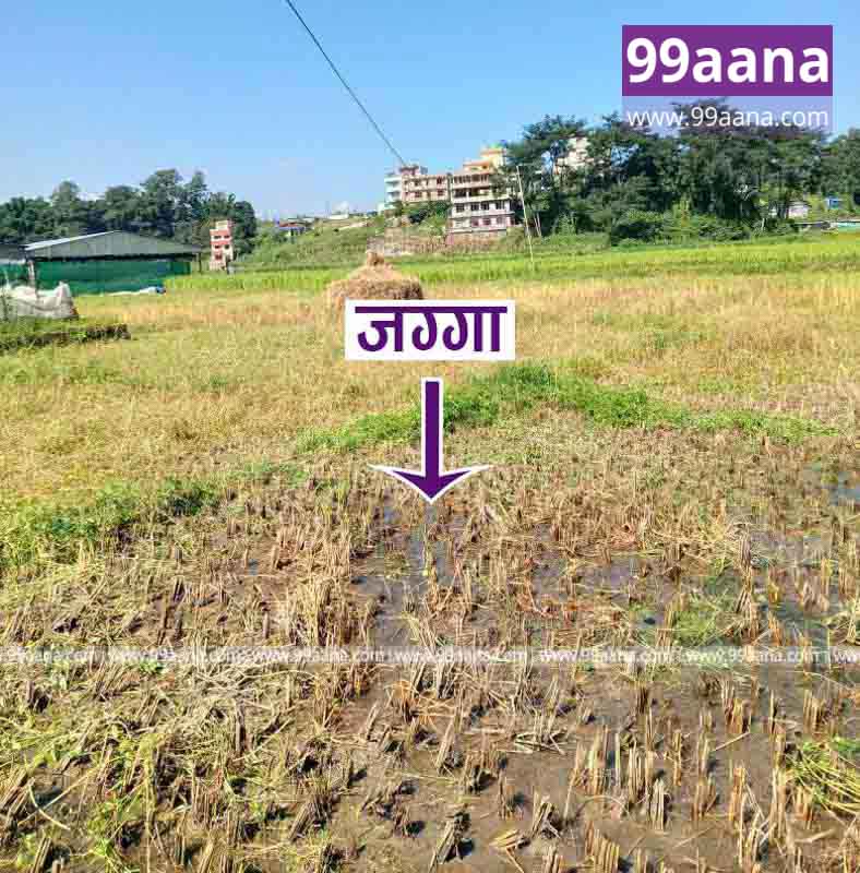Land for sale at Sundarijal, Kathmandu
