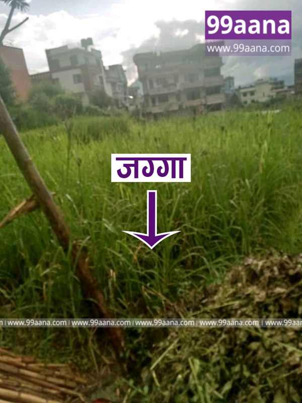 Land for sale at Budhanilkantha, Kathmandu