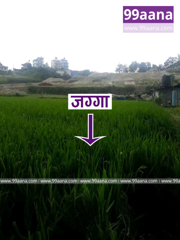 Land for sale at Chasindol, Budhanilkantha, Kathmandu