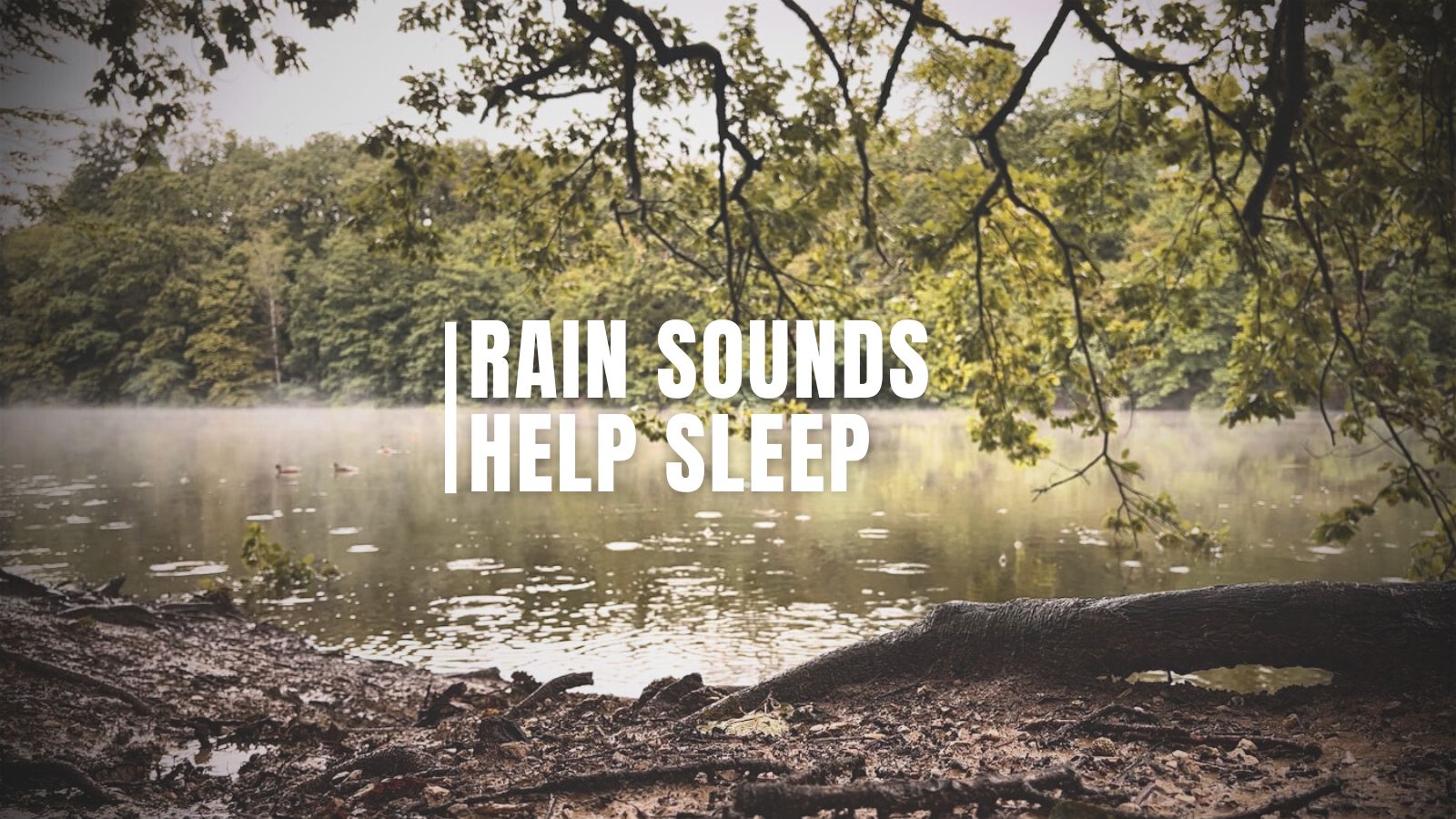 Why Do Rain Sounds Help Us Sleep? 99Sounds